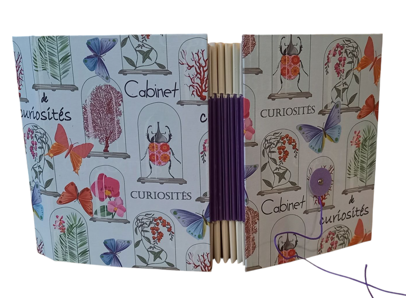 Cabinet de curiosités