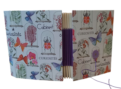 Cabinet de curiosités