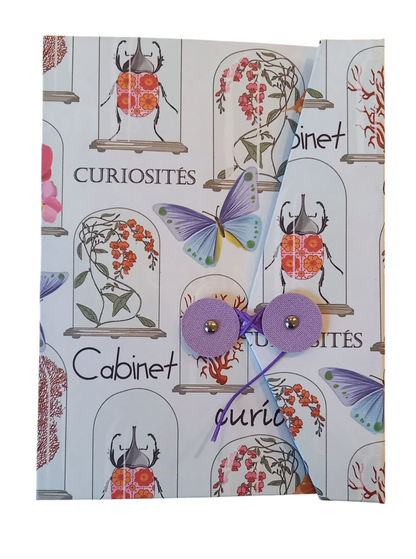 Cabinet de curiosités