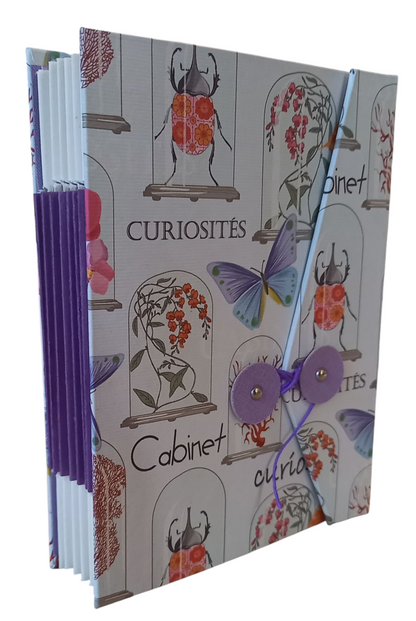 Cabinet de curiosités